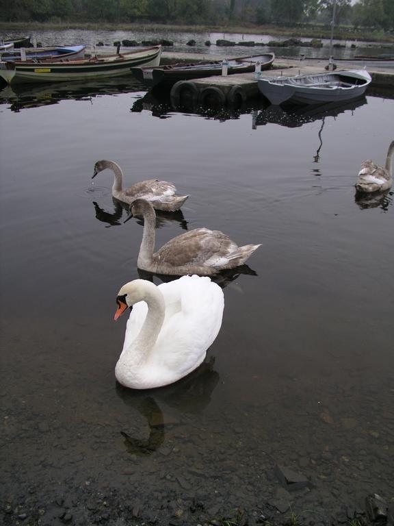Lakeland Midsummer Lakehouse 乌克特拉德 外观 照片